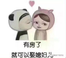 美女卖萌表情包